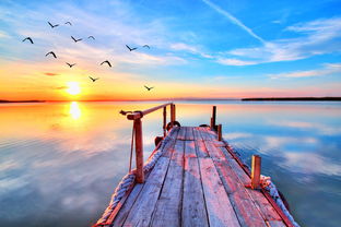 错过的是否还能挽回,错过的时机是否能重新把握