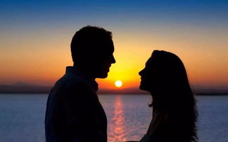 妻子一心想挽回,妻子全力挽回，努力不懈