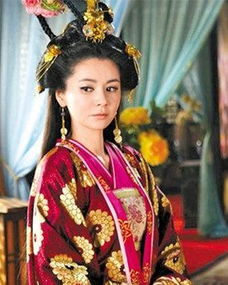 皇帝挽回丽华儿子,皇帝努力挽回丽华的儿子