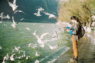 真心付出的情感挽回,真情挽回：付出爱与真心