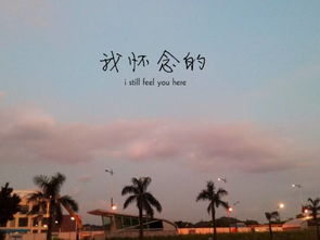 比较适合挽回的歌曲,适合挽回的歌曲：《寂寞的季节》重写标题：渴望重逢的心声