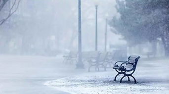 表示想要挽回的诗句，挽回无望，让我走远-拨开蒙眬，寻找新天