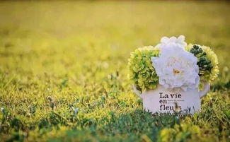 帮人挽回爱情句子简短，如何重新点燃爱情的火花