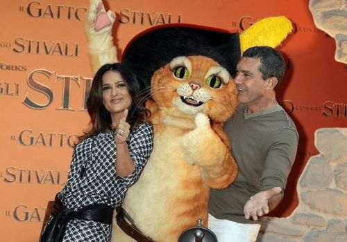 睽卦无法挽回,无法重振？望灵签给信心