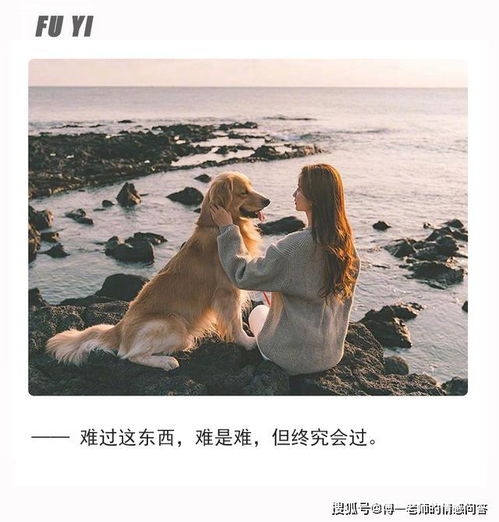 怎样挽回小白羊,如何成功挽回小白羊