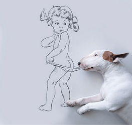 怎么挽回属狗巨蟹男,如何挽回属狗巨蟹男？40字以内新标题：狗蟹复合指南