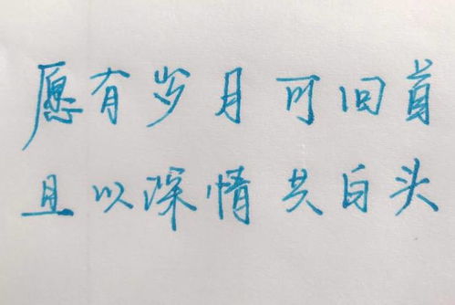 形容生命不可挽回,永别不回头：生命无法挽回