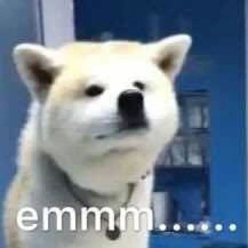 狮子男提离婚挽回,狮子男离婚求复合