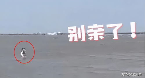 犯错了怎么挽回最好,犯错怎样得到原谅