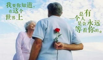 老婆分居半年如何挽回,如何挽回分居半年的妻子