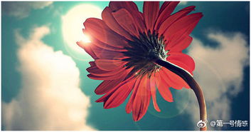 有没有挽回法术,如何挽回失去的爱情？