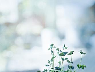 挽回的时候说随缘,挽回爱情，顺其自然