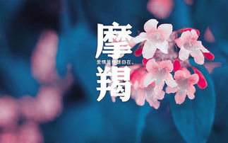 被摩羯挽回你，星座助力，顺利挽回摩羯座前任