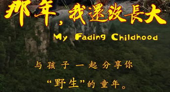 调兵山情感挽回,重拾爱恋：调兵山情感修复