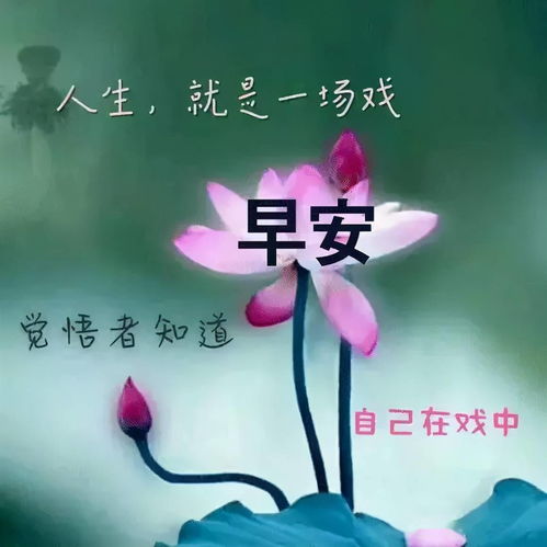 我不懂珍惜怎么挽回,珍爱难得，如何挽回爱情