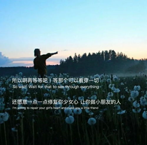 挽回高级文案短句伤感,失去你的世界，我只是一只野兽