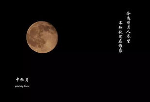 挽回朋友的中秋文案,珍爱友情，共度欢乐——中秋节挽回友谊文案重写为重温友谊，共话团圆——中秋挽回友情。