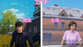 初中早恋分手后如何挽回，初恋分手后如何重新获得TA的心