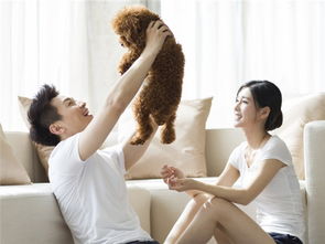 太原婚姻挽回咨询解决,如何成功挽回太原离婚破裂的婚姻？)