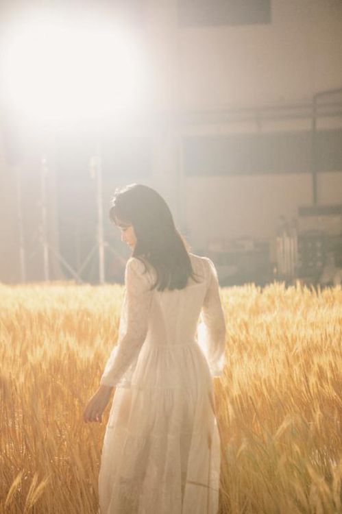 没有继续挽回的勇气