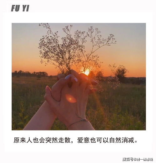 到底该不该尝试挽回,是否挽回已失去的爱情？