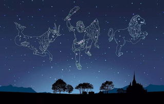 双鱼挽回水瓶男,水瓶男被双鱼女挽回