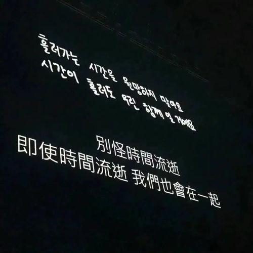 我努力挽回歌词,挽回承诺的专属歌词