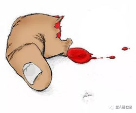 手指扎血挽回魔法,手指受伤，奇迹成功：故事重写