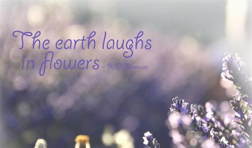 挽回当初的遗憾文案,挽回遗憾，成就美满姻缘