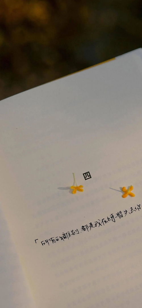 无法挽回的约定,失去的承诺，永不复归