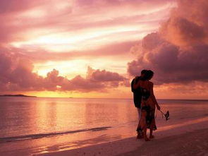 情感挽回心理测试,挽回爱情测试，解析你的情感状态