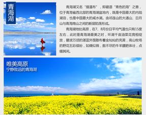 张掖情感挽回专家咨询,张掖情感挽回咨询达人