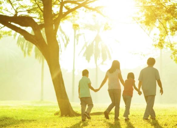 挽回原生家庭的魔咒,挽回原生家庭：回归和睦的开始