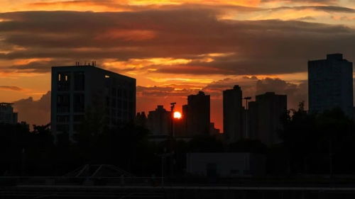 怎样挽回一段友谊，如何重建中断的友谊