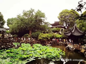 感情挽回狮子林,挽回爱情