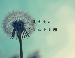 错过的缘分怎么挽回,重拾失落缘，重修新生路