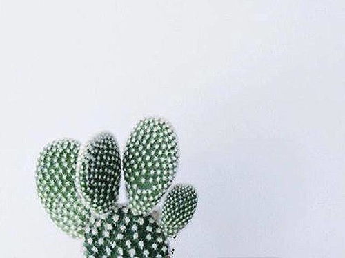 怎么挽回自己爱的人,如何挽回你爱的人