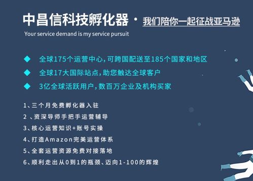 怎么挽回宝盈策略,宝盈策略的挽救之路