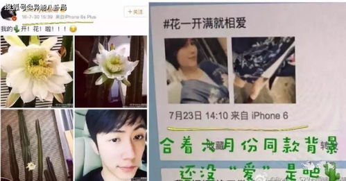 自己改变还能挽回女友吗，如何挽回初恋女友：有效方法大揭秘