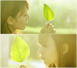 对付冷漠挽回的绝招,温暖解决冷漠，伤口需爱呵护