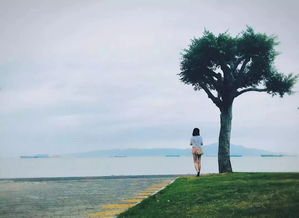 挽回爱情旅游地,挽回爱情之旅，情人节去哪？