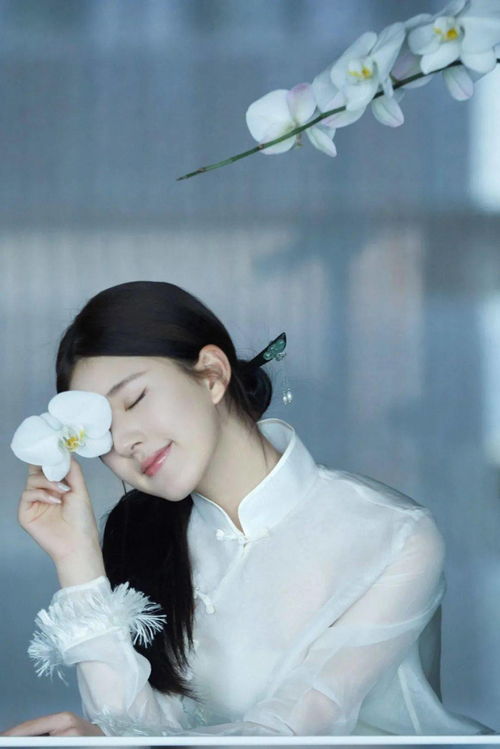 赵露思挽回形象,赵露思自我修复的努力