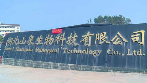 合肥情感挽回公司电话,合肥哪家情感挽回公司好，联系方式推荐