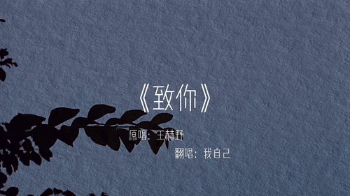 放弃了就别想挽回,放弃过就别想挽回