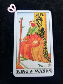 塔罗牌能挽回婚姻吗,塔罗牌能否解救婚姻？