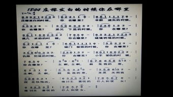 把我挽回基督诗歌,重伸背叛手喜迎主归