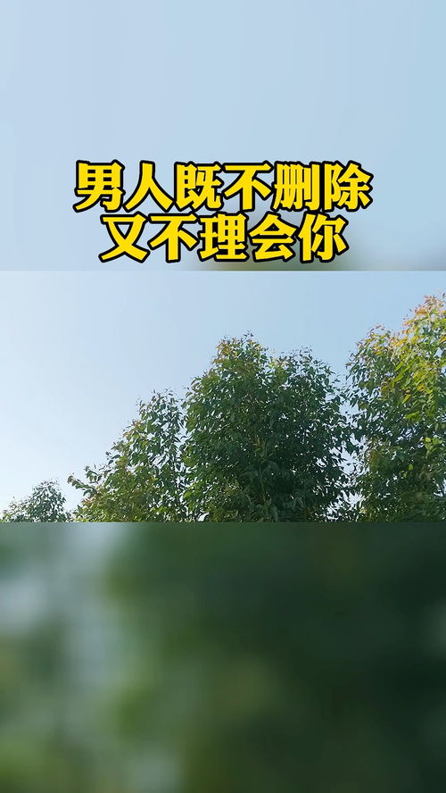 情感树洞怎么挽回男人,怎样挽回男人感情？