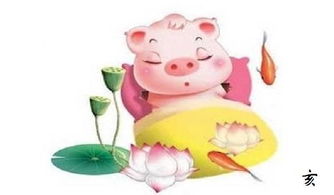 如何挽回属猪的男人,如何挽回猪年出生男子