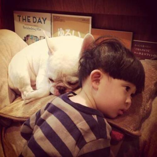 挽回属狗男朋友,如何成功挽回属狗男友？