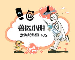 吵架冷战挽回的语句,挽回冷战：如何在吵架后重建关系